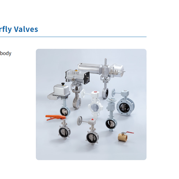 KITZ開(kāi)滋蝶閥G-10NFJUE-300A