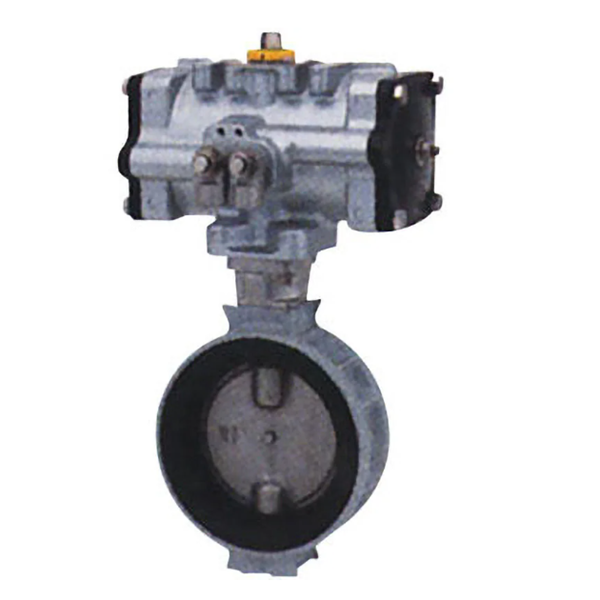 KITZ開滋杠桿式10NFJUE蝶閥G-10NFJUE-100A