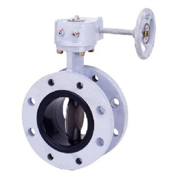 KITZ開(kāi)滋蝶閥G-10NFJUE-300A