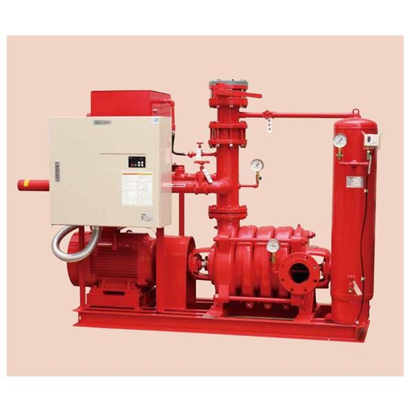 TERAL中～大流量/中揚程冷卻泵LPS653/2A-65.5T-e