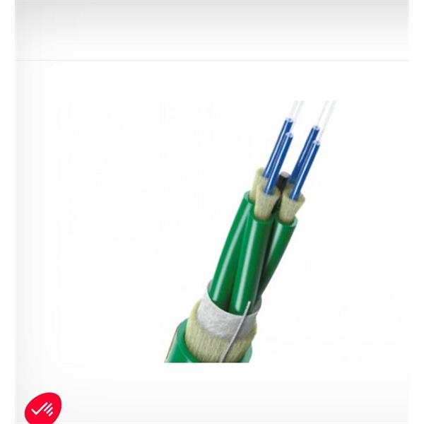 英國(guó)Scaime 力傳感器MTRZ-25kN