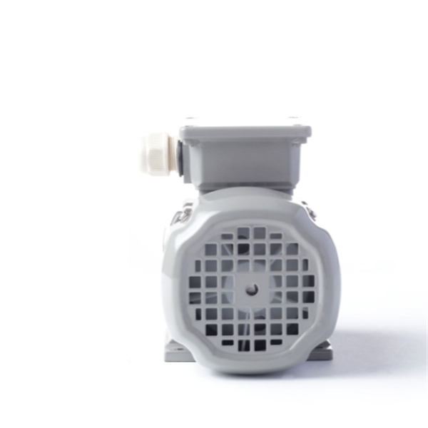 德國AC MOTOREN防火防爆電機(jī)E3-ASA 160 MA 2