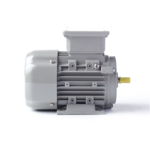 德國AC MOTOREN防火防爆電機(jī)E3-ASA 160 MA 2