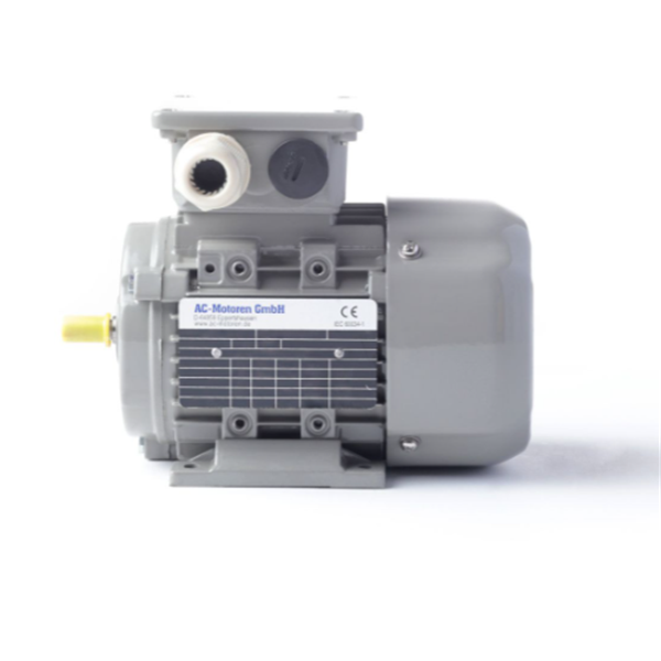 德國AC MOTOREN防火防爆電機(jī)E3-ASA 160 MA 2