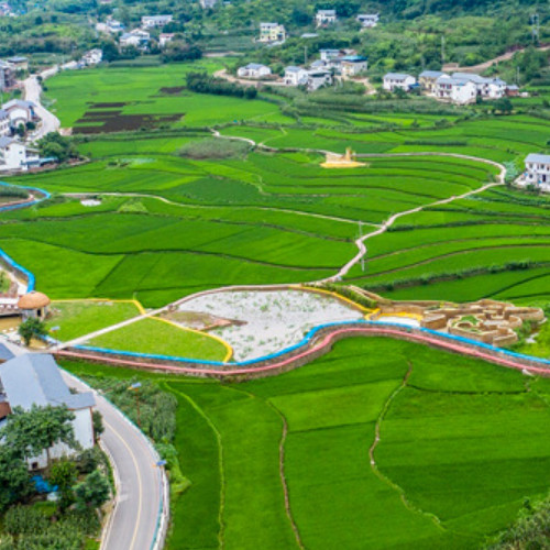 中農(nóng)發(fā)種業(yè)集團股份有限公司.jpg 中農(nóng)發(fā)種業(yè)集團股份有限公司.jpg