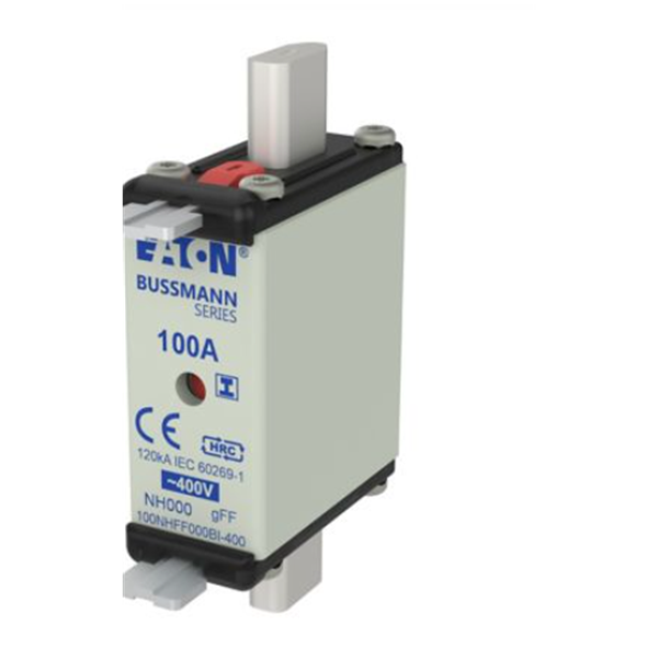 EATON伊頓Bussmann系列快速圓帽式熔斷器 FWX-4G10F