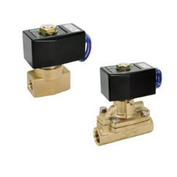 CKD喜開理先導突跳式2通電磁閥流體閥AD21-40F-B3A-AC100V